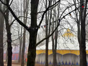 240m Zirkuszelt gelb